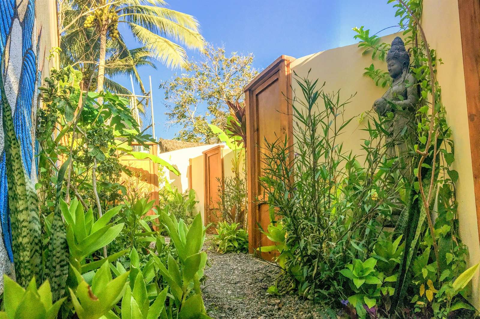Galería Suites San Pancho: leafy path leading to the suites